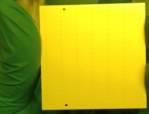 Photoresist Series: SU-8 Photoresist Performance, Processing, and Application Analysis